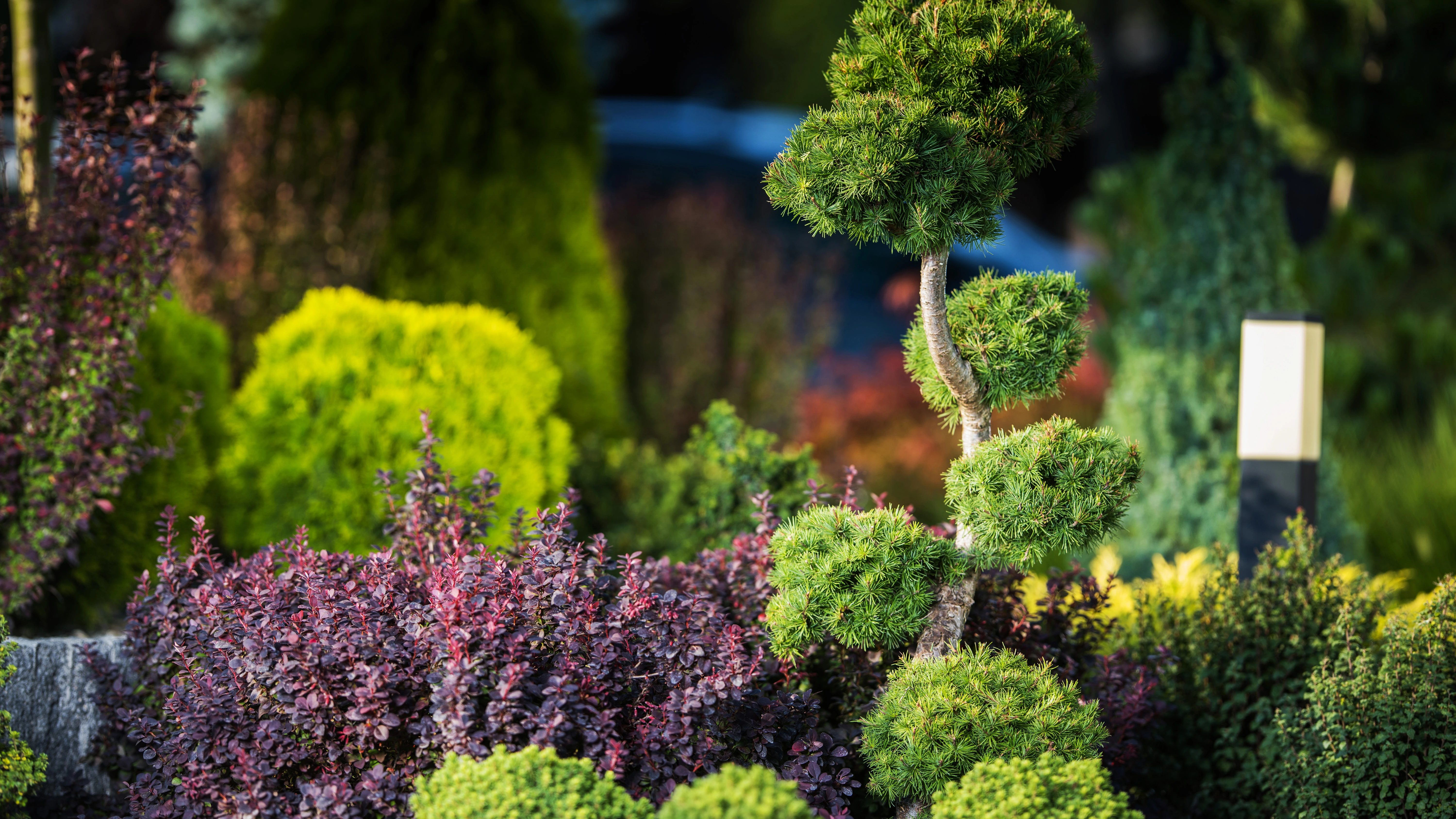 Plant ID Voting System